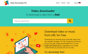 Video downloader professional