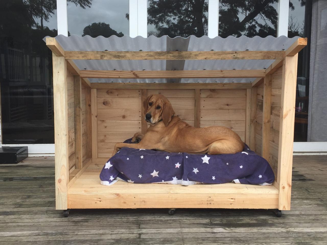 Diy dog house