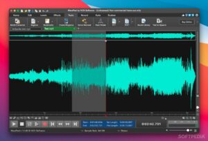 Wavepad audio editing softpedia