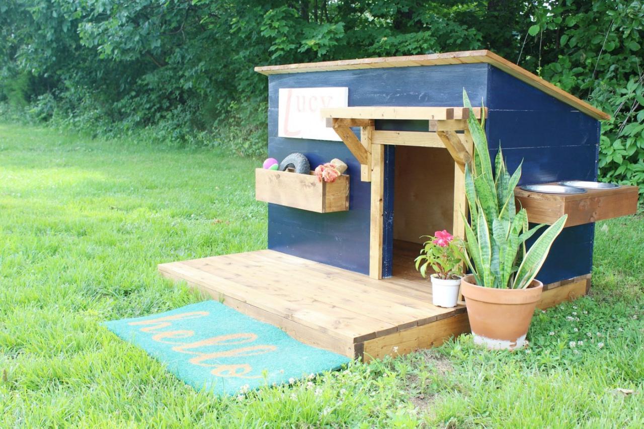 Diy dog house