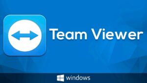 Teamviewer portable