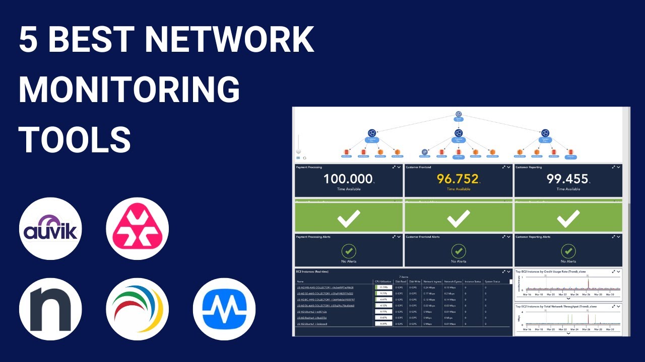 Remote network monitoring software